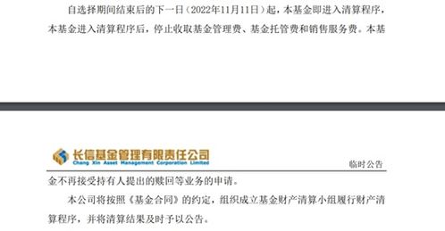 年內175只基金清盤離場 行業加速優勝劣汰，投資者如何應對？